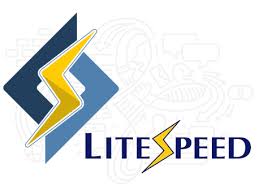 Web Host Elite